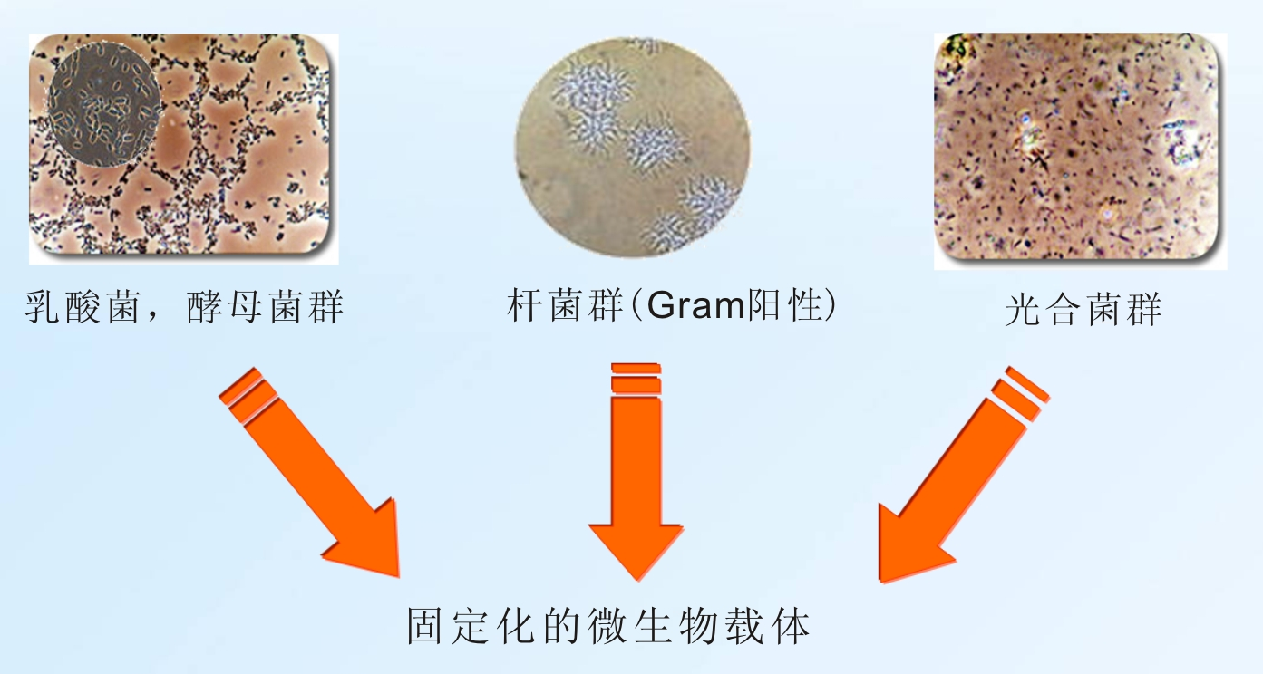 凯时K66·(中国区)官方网站_产品3269